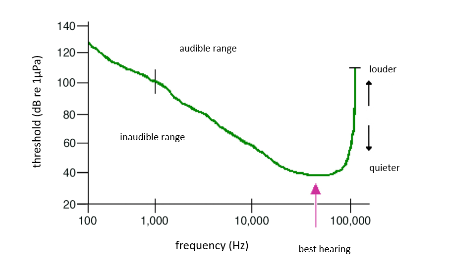 Audiogram