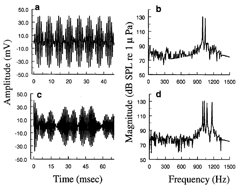 Time domain representation of a a TT signal with fl = 1000 Hz and j~ = 1171 Hz, and e a four-tone signal (Sin) withfl = 1000 Hz, f2 = 1030 Hz, f3 = 1079 Hz, and f,~ = 1171 Hz. In panels b and d the spectra of the TT and four tone signals in a and c are shown. It should be noted that there is no energy at frequencies corresponding to the temporal envelope of these signals, e.g., at 171 Hz in the TT signal, or at difference frequencies (i.e., f2.1, f3,1' f4,2' etc.) in the multienvelope condition